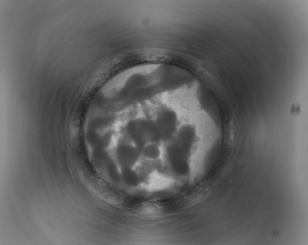 X0000111820263200908131529