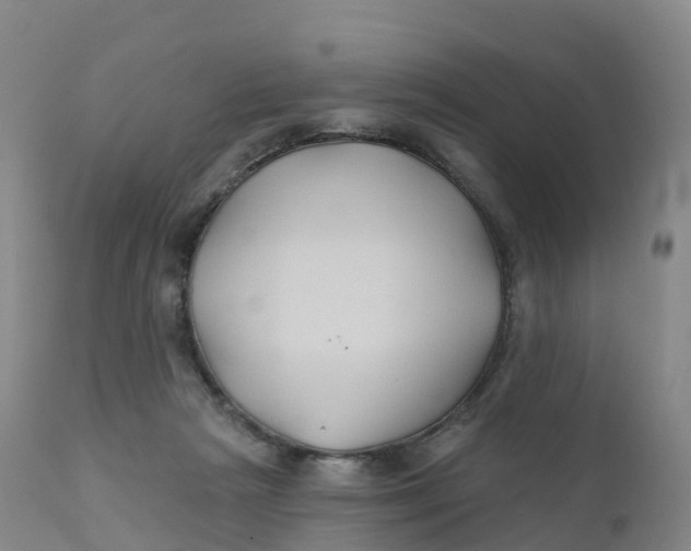 X0000111820265200908131530