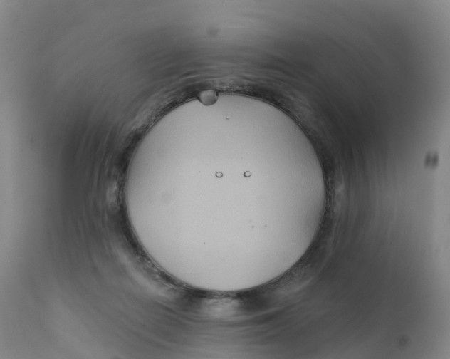 X0000111820266200908131530