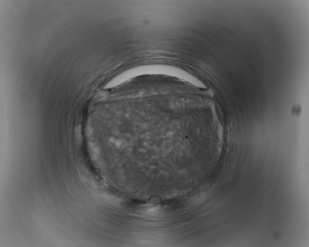 X0000111820267200908131530