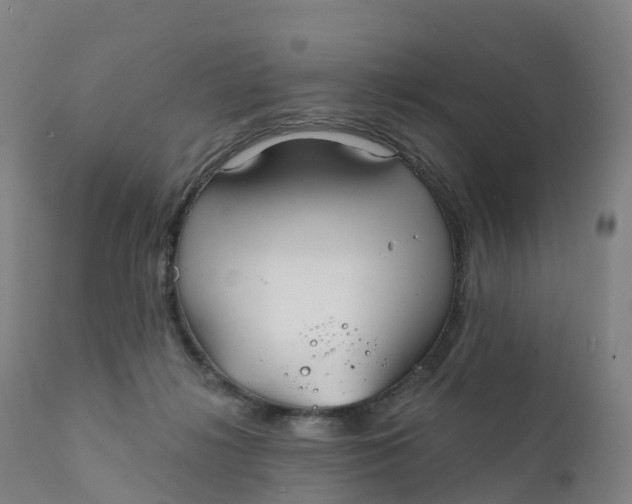 X0000111820268200908131530