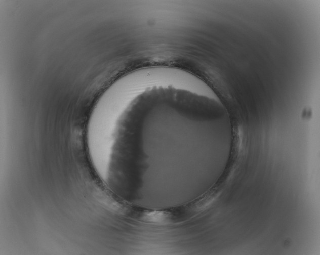 X0000111820269200908131530