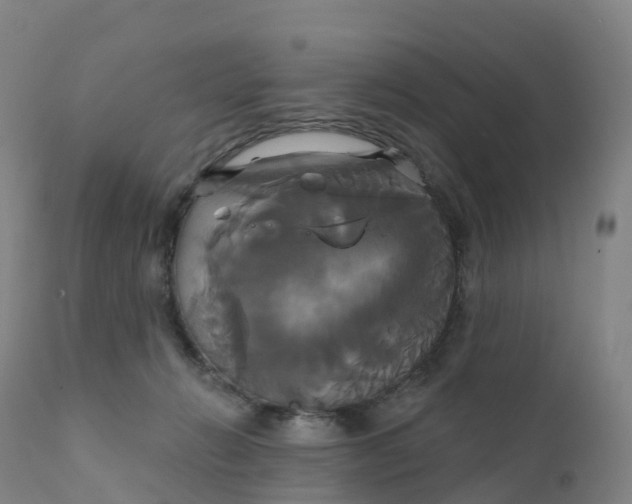 X0000111820270200908131530