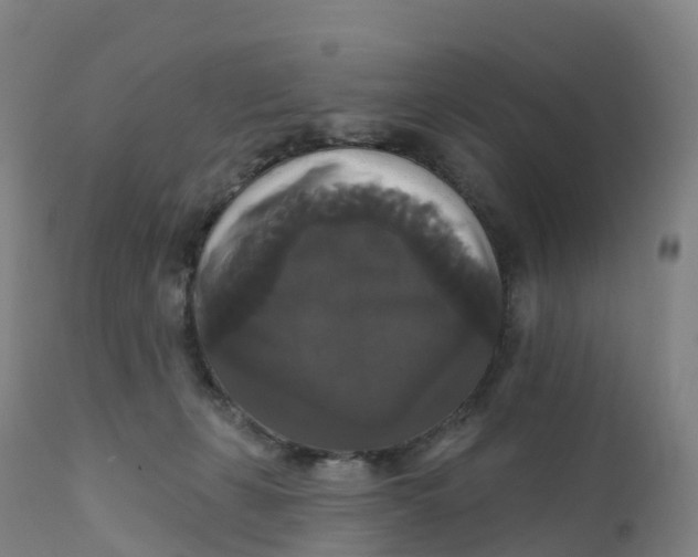 X0000111820271200908131530