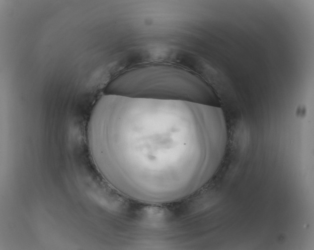 X0000111820272200908131530