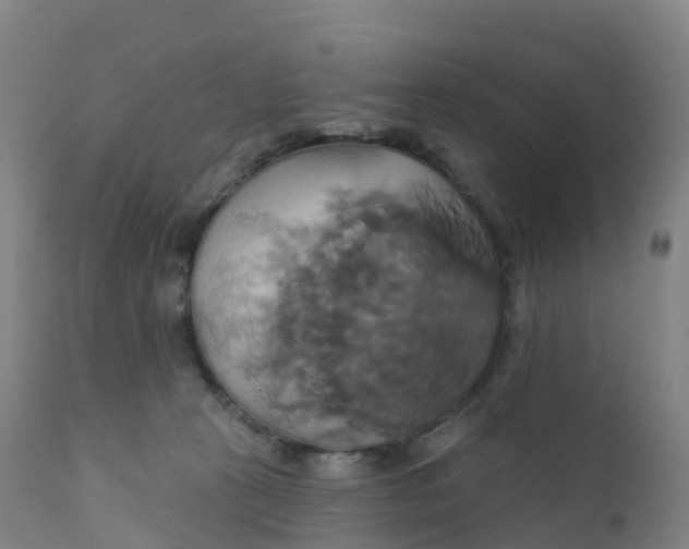 X0000111820273200908131530