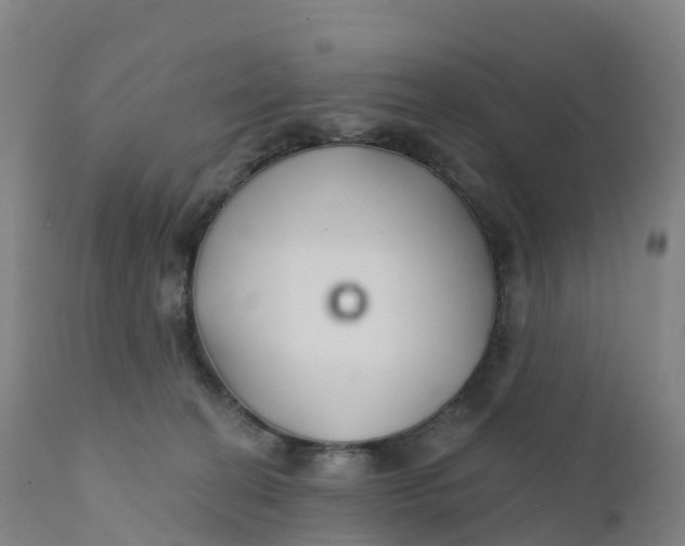 X0000111820274200908131530