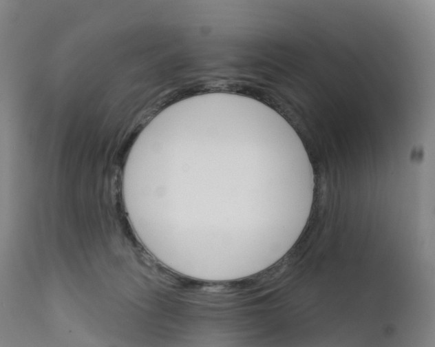 X0000111820275200908131530