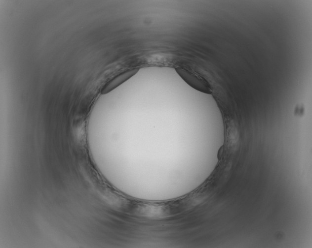 X0000111820276200908131530