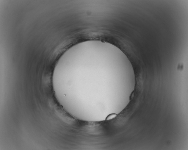 X0000111820278200908131530