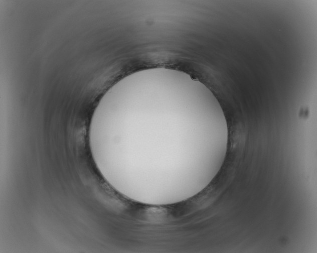 X0000111820279200908131530