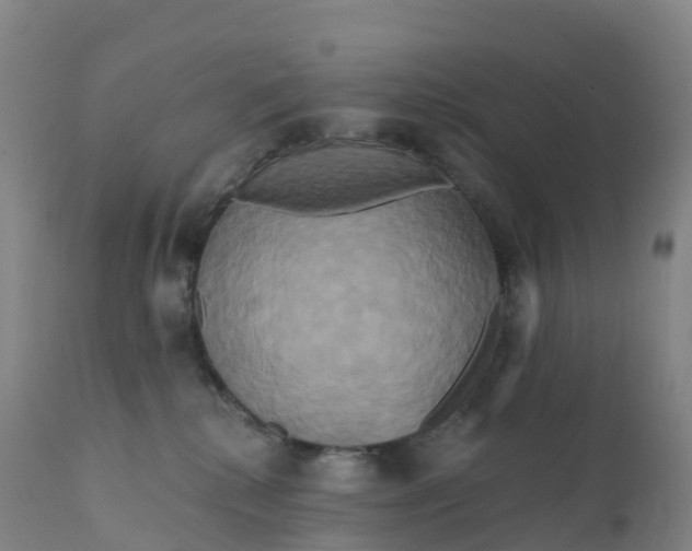 X0000111820280200908131530