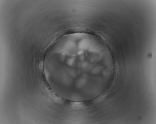 X0000111820281200908131530