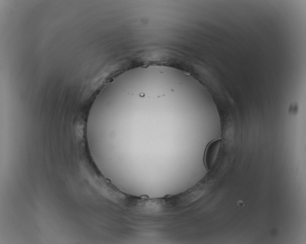 X0000111820282200908131530