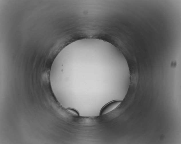 X0000111820286200908131530