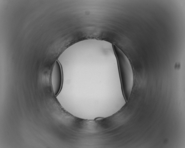 X0000111820287200908131530