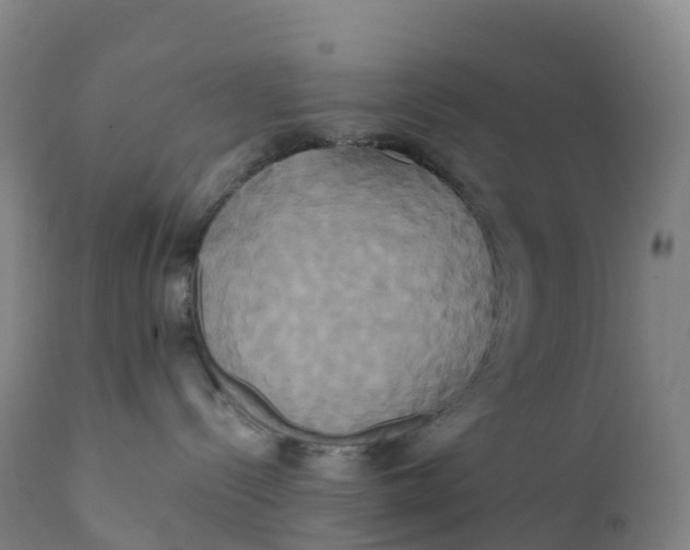 X0000111820288200908131530