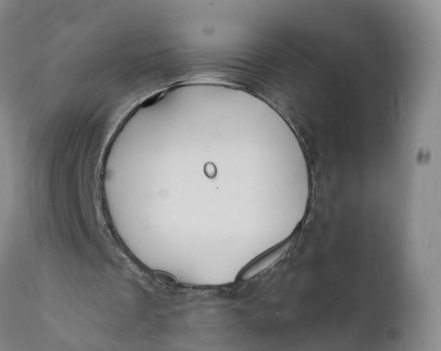 X0000111820289200908131529