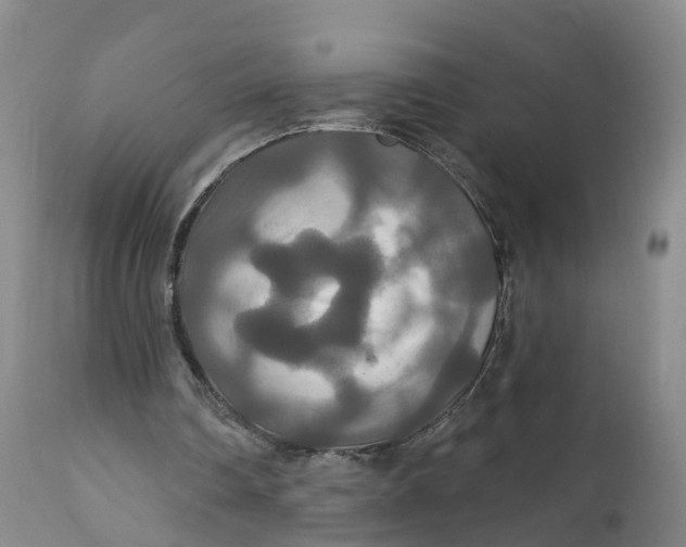 X0000111820290200908131529