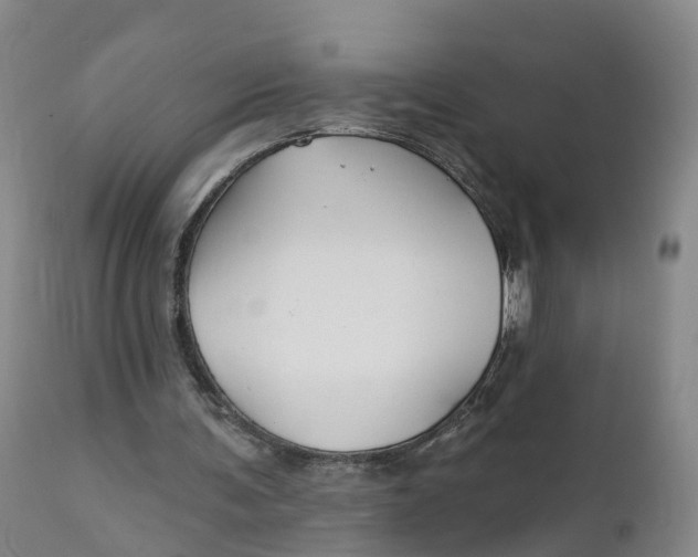 X0000111820291200908131529