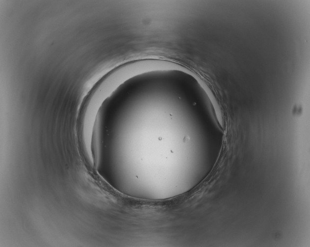 X0000111820292200908131529