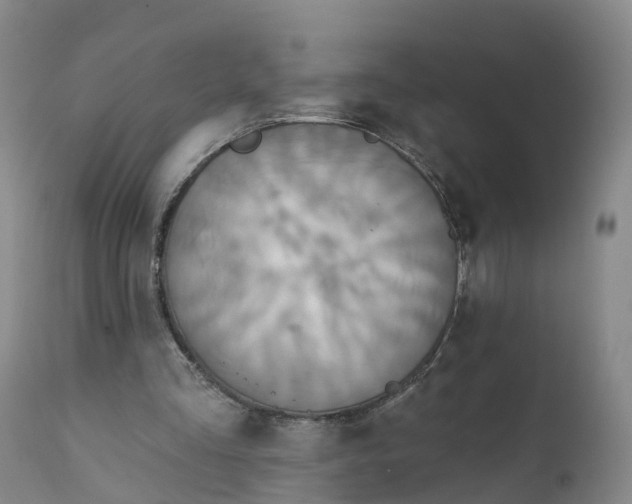 X0000111820293200908131529