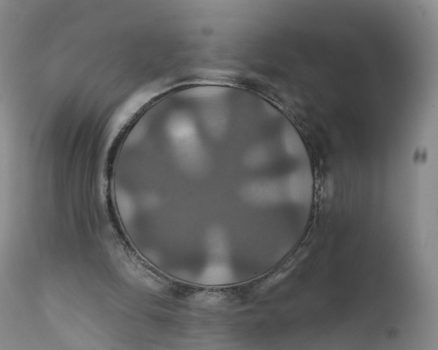 X0000111820294200908131529