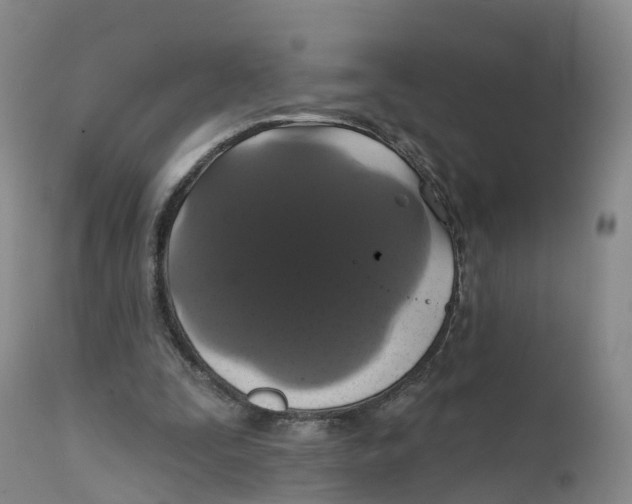 X0000111820295200908131529