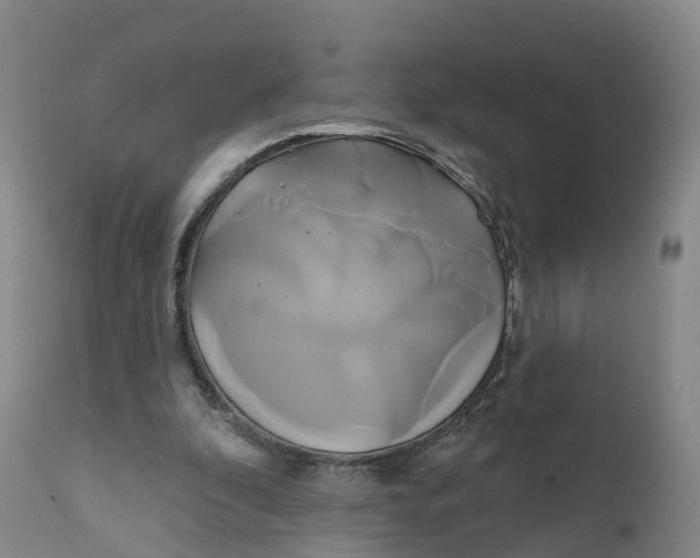 X0000111820296200908131529