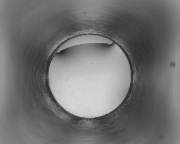 X0000111820297200908131529