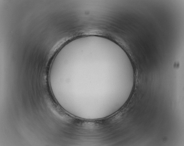 X0000111820298200908131529