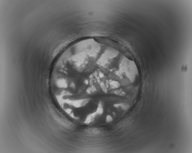 X0000111820299200908131529