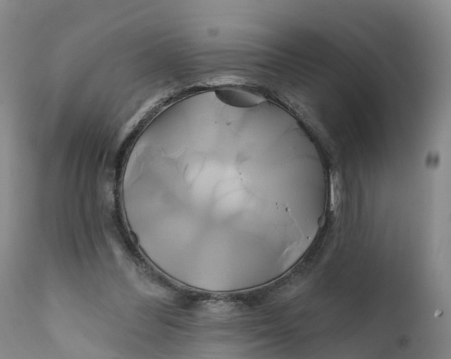 X0000111820300200908131529