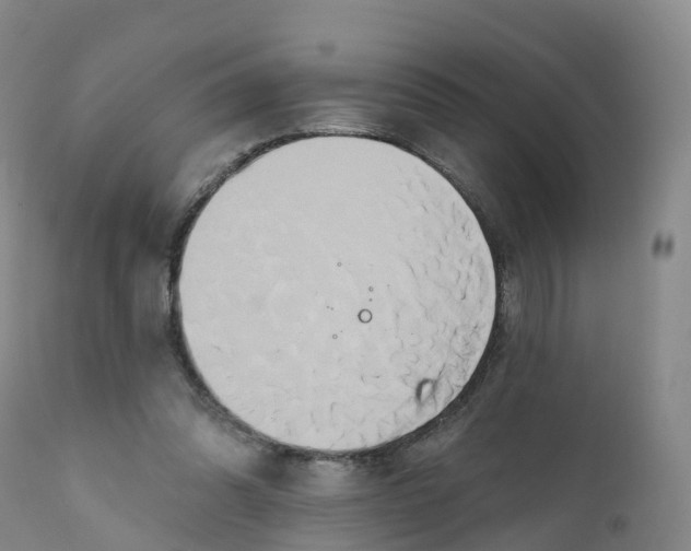 X0000111820302200908131529