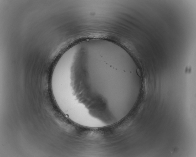 X0000111820303200908131529