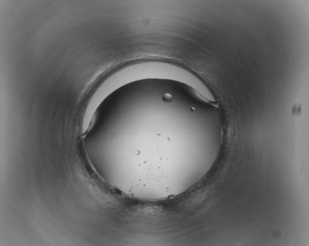 X0000111820304200908131529