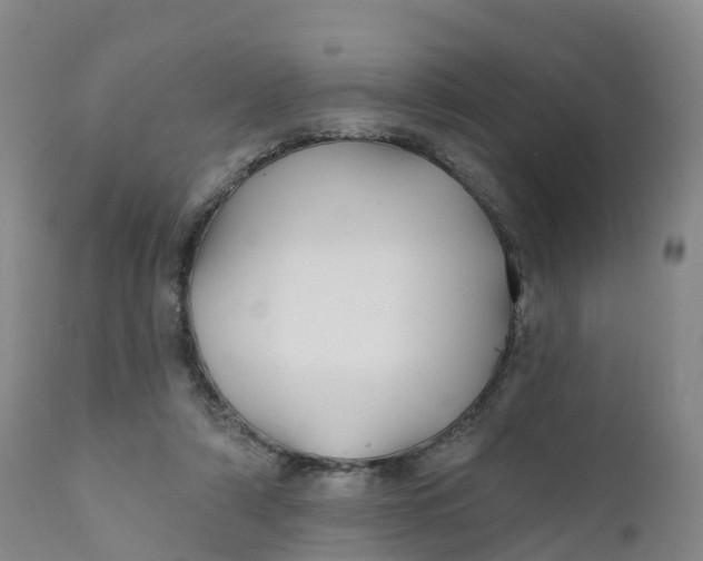 X0000111820306200908131529