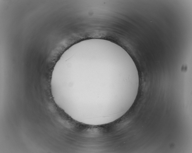 X0000111820307200908131529