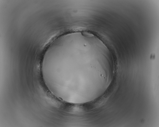 X0000111820308200908131529