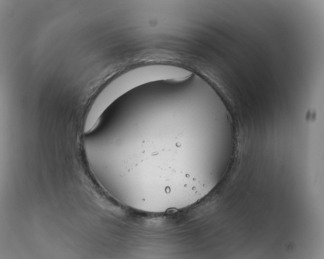 X0000111820309200908131529