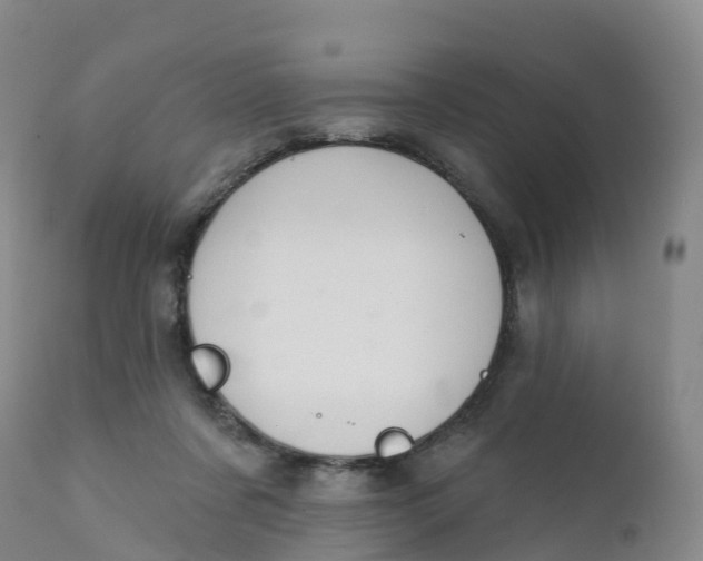 X0000111820311200908131529