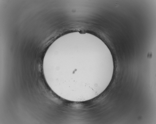 X0000111820313200908131529