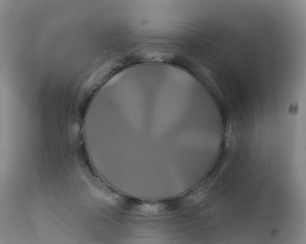 X0000111820314200908131529