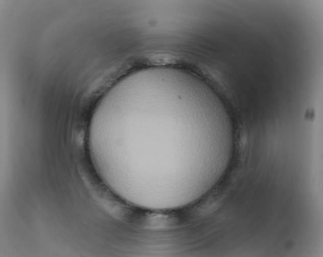 X0000111820315200908131529