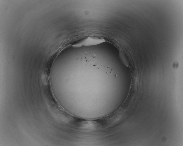 X0000111820316200908131529