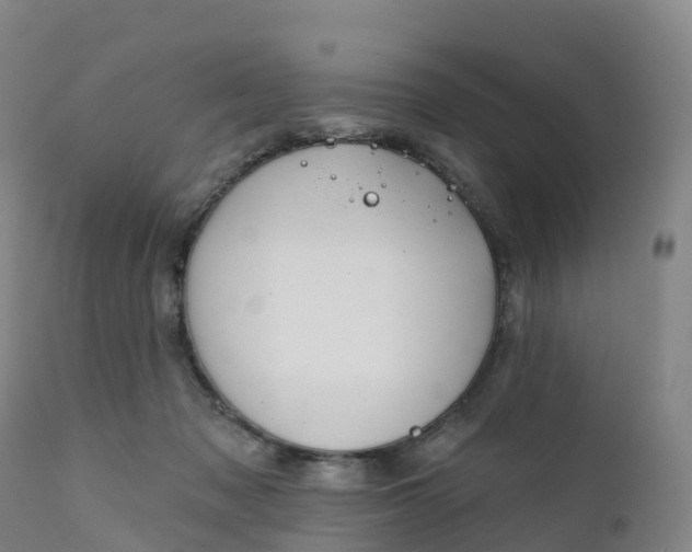 X0000111820317200908131529