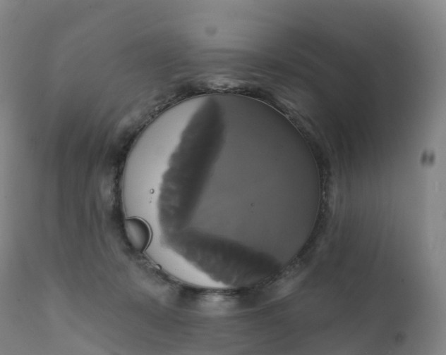 X0000111820319200908131529