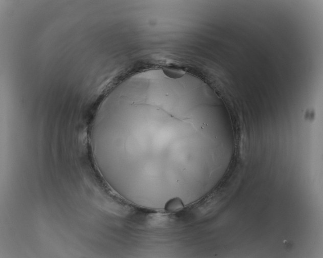 X0000111820320200908131529