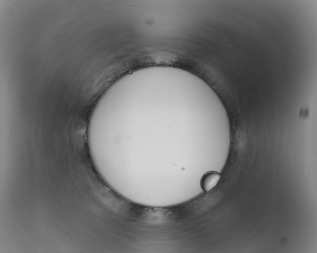 X0000111820321200908131529