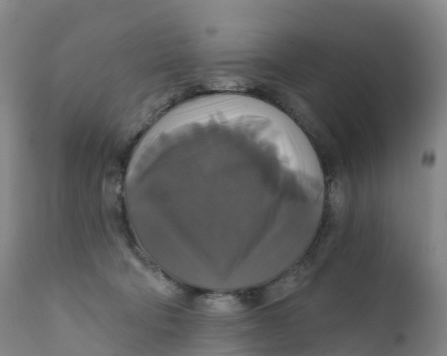 X0000111820322200908131529